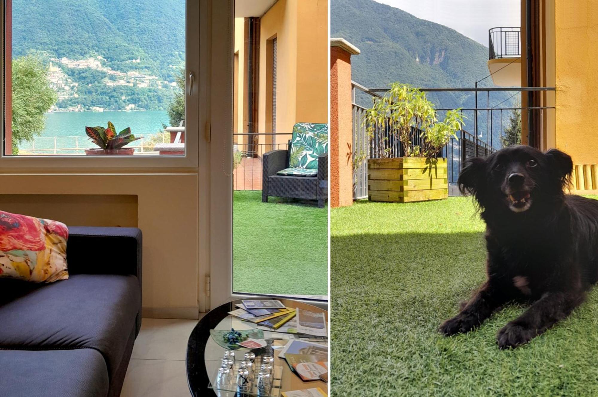 Ferienwohnung La Casina Laglio Exterior foto